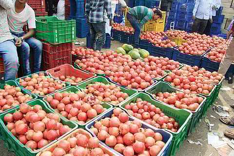पुणे : डाळींब, पपई, कलिंगड, खरबूज महागले