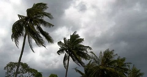 राज्यात उद्यापासून ढगाळ वातावरणासह हलक्या पावसाची शक्यता