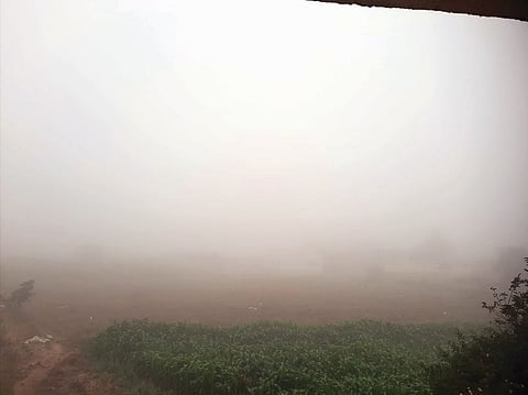 वाल्हे परिसरात दाट धुके; शेतकरी चिंताग्रस्त