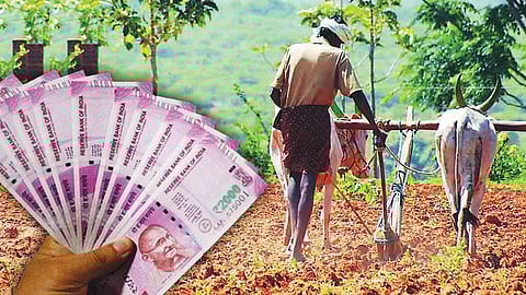 पुणे जिल्ह्यात कृषी यांत्रिकीकरणाचे 34.77 कोटी वितरित