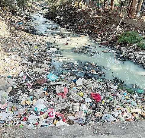 सोनई : कौतुकी नदी बनली कचराकुंडी परिसरात दुर्गंधी, नागरिकांचे आरोग्य धोक्यात