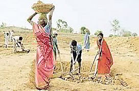 जुन्नर : आदिवासी भागात मजुरांना गावातच काम !