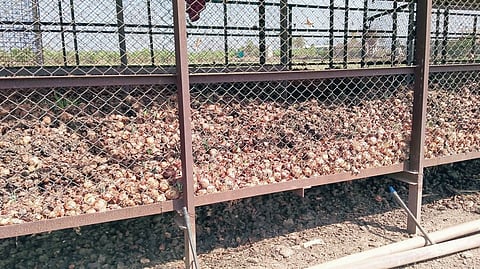 पारगाव : कांदा उत्पादक शेतकर्यांच्या डोळ्यांत पाणीच; बराकीत साठविलेल्या कांद्यांचा झाला कोळसा