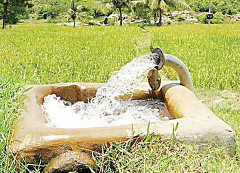 कृषिपंप थकबाकी 12 हजार कोटी; महावितरणची पुणे प्रादेशिक विभागातील स्थिती