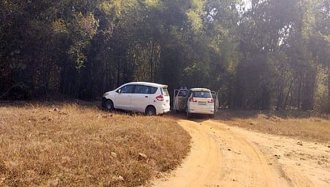 चंद्रपूर : ‘ताडोबा’त गाणी वाजवणं पडलं महागात!; वनखात्याचा पर्यटकांना दणका