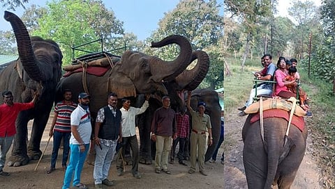 Melghat Tiger Reserve