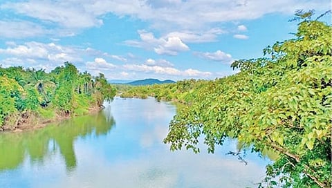 गोवा : म्हादईप्रश्नी ग्रामसभांमधून लोकक्षोभ; अमित शहांसह राज्य, केंद्राचा निषेध