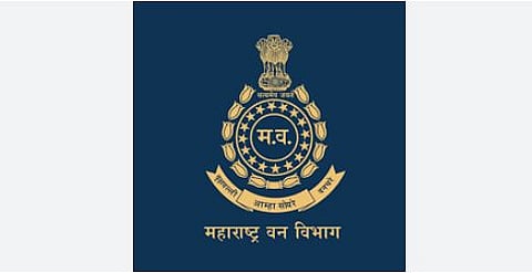 वणवे टाळण्यासाठी जुन्नर वन विभाग दक्ष; वणवे लावणार्यांवर होणार कठोर कारवाई