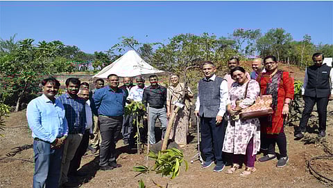 नाशिक : आरोग्य विद्यापीठातील वृक्षांच्या क्यूआर कोड उपक्रमाचा प्रारंभ करताना डॉ. माधुरी कानिटकर, डॉ. राजीव कानिटकर, डॉ. मिलिंद निकुंभ, डॉ. राजेंद्र बंगाळ, डॉ. संदीप कडू, डॉ. स्वप्निल तोरणे आदी.