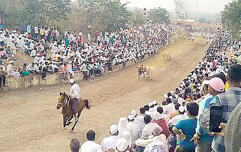 खामुंडीच्या धर्मनाथाच्या यात्रेत रंगला बैलगाड्यांचा थरार