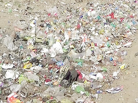 नगर : गुंजाळवाडीतील उपनगरांना कचर्याचा विळखा ; घाणीमुळे पसरली दुर्गंधी