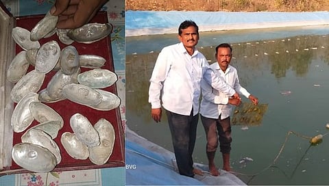 नांदेड : शेल्लाळी येथील शेतकर्याने पिकवला पडीक जमिनीत शिंपला मोती; वर्षभरात १४ लाखांचे उत्पन्न