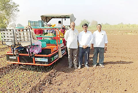 नगर : कांदा लागवड अंतिम टप्प्याकडे