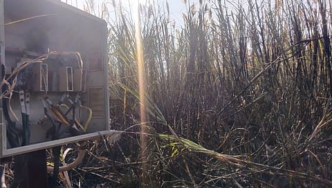 शॉर्टसर्किटमुळे ४ एकर क्षेत्रातील उस खाक; सुमारे ३ लाखांचे नुकसान