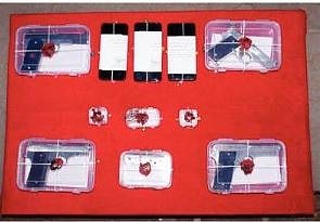 साताऱ्यात चौघांकडून बंदुकांचा शस्त्रसाठा जप्त; ४ पिस्टल; ८ काडतुसे