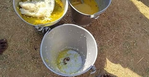 Snake In Mid-Day Meal : मध्यान्ह भोजनात सापडला साप, विषारी अन्न खाल्ल्याने 16 मुलांची प्रकृती चिंताजनक