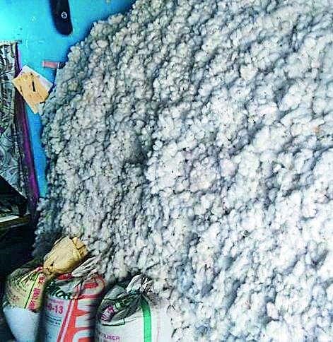 जळगाव : साठवणूक केलेल्या कपाशीवरून वाद; दोन गटांत हाणामारी