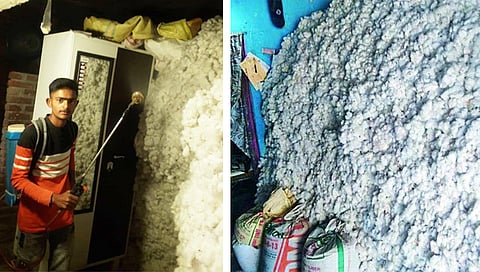 जळगाव : घरातील साठवणूकीतील कापसामध्ये धोकादायक किटक झाल्याने त्यावर औषध फवारणी करताना शेतकरी. (छाया : चेतन चौधरी)