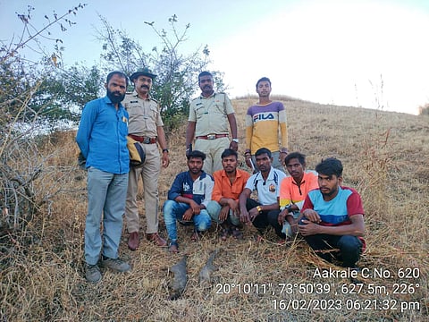 दिंडोरी : मुंगूस या प्राण्याची शिकार करणारे संशयितांना अटक करताना वनविभागाचे पथक. (छाया : समाधान पाटील)