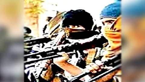 पाक म्हणतो : आम्ही दहशतवादाचे बी पेरले…