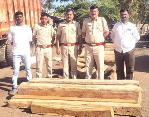 पिंपळनेर : चोरट्या वाहतूकीतून वनविभागाने हस्तगत केलेले पाच नग सागाची लाकडे. (छाया: अंबादास बेनुस्कर)