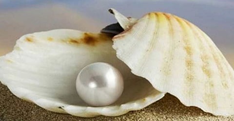 मोत्यांचा साज