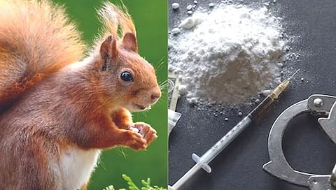 खारींचे पथक