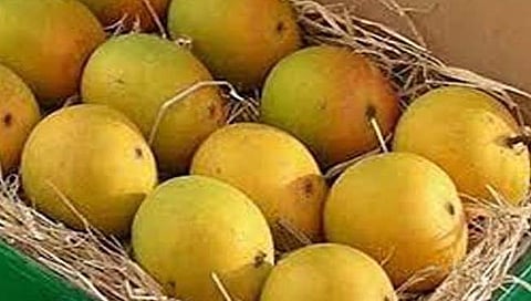 Mango Prices |