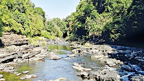 ‘म्हादई’प्रश्नी गोवा बंदची हाक