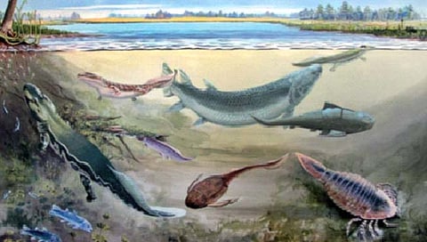 माणसाच्या पूर्वजांनाही खाणार्या माशाचे जीवाश्म