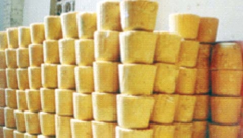 कोल्हापूरच्या 100 गूळ उत्पादकांना मिळणार जीआय मानांकन