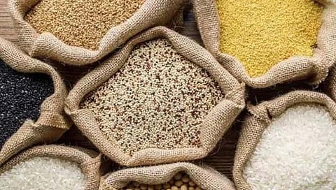 यंदा देशात अन्नधान्याचे विक्रमी उत्पादन होणार