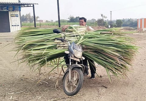 पारगाव : दूध उत्पादकांची आतापासूनच कसरत