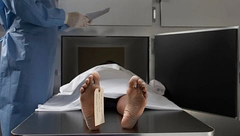 प्रातिनिधिक फोटो