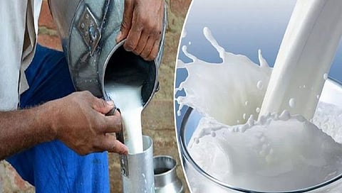 दुग्धजन्य पदार्थांच्या निर्यातीत ४२ टक्क्यांची वाढ, ‘या’ प्रमुख देशांत होते निर्यात