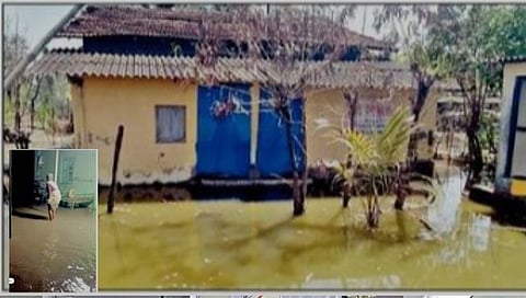 Raigad : समुद्राच्या भरतीमुळे शहापूर, धेरंड उद्ध्वस्त होण्याच्या मार्गावर