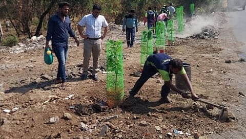 नाशिक : वृक्षारोपणाद्वारे ब्लॅकस्पॉट केला चकाचक, घंटागाडी चालकांचा अनोखा उपक्रम