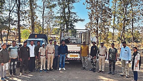 नाशिक : वनविभागाने रोखली खैरची तस्करी, उंबरठाण वनपरिक्षेत्रात धडक कारवाई