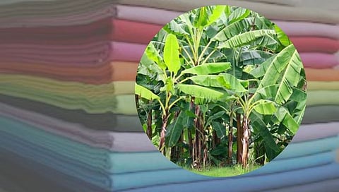 जळगावात केळीच्या बुंध्यापासून कापडनिर्मिती होणार, मुख्यमंत्र्यांची घोषणा