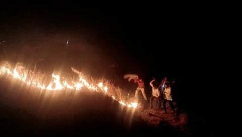 नाशिक : दिंडोरीतील न्याहारी डोंगरास आग