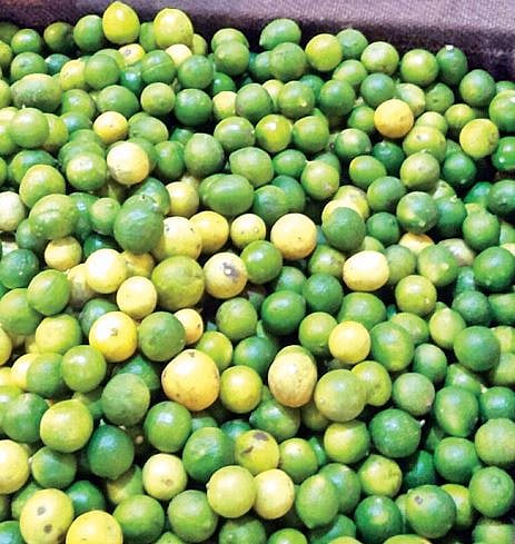 पिंपरी : काकडी, टोमॅटो, लिंबू, लसूणचे दर वाढले