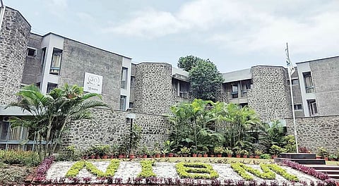 पुणे : चंदनाची झाडे तोडू द्या! चोरीच्या भीतीमुळे ‘एनआयबीएम’ची महापालिकेकडे अजब मागणी