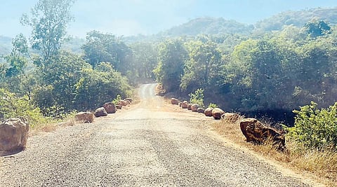 वेल्हे : धरणखोर्यातील पुलांना संरक्षक कठडे नसल्याने दुर्घटनेची भीती