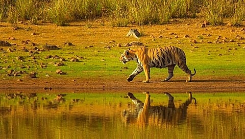 अमरावती : मेळघाट व्याघ्र प्रकल्पात वनमजूरांना आवश्यक साहित्याचे वाटप