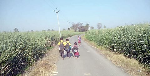 पारगाव : बिबट्यांमुळे पालकांमध्ये भीतीचे वातावरण