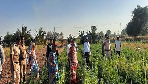 अफू जप्त