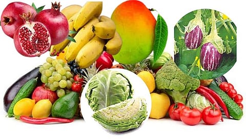 फळांची निर्यात,www.pudhari.news