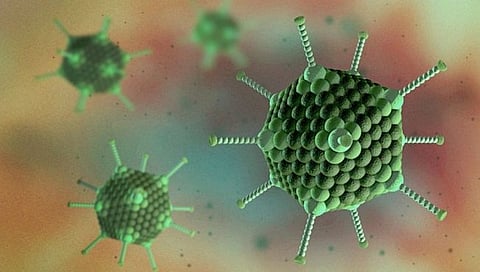 Adenovirus : पश्चिम बंगालमध्ये ॲडिनो व्हायरसच्या रुग्णांमध्ये वाढ; काय आहेत या विषाणूची लक्षणे?