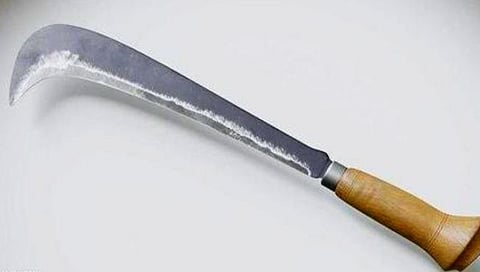 क्लासच्या सॅकमध्ये पुस्तकांऐवजी आणला कोयता; सातार्यातील घटना