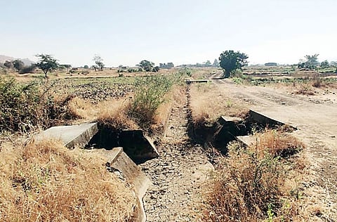 टाकवे बुद्रूक : पाणी नसल्याने नाणेमावळातील शेती होतेय कोरडी